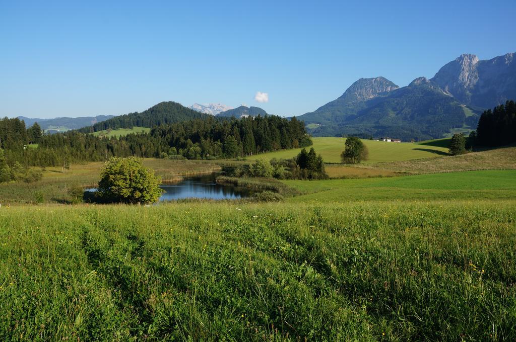 Ferienwohnungen Rettenbacher Abtenau Exterior foto